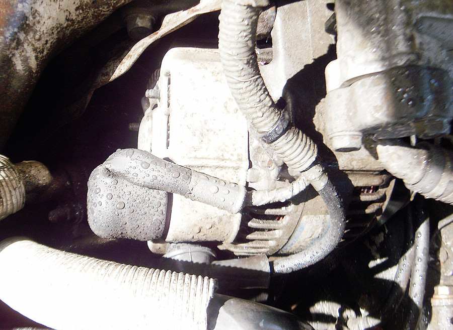 Watersoaked Alterntor after hosing off salt coating there's a StrongArm Fluid Waterproofing that will remain for years on this alternator